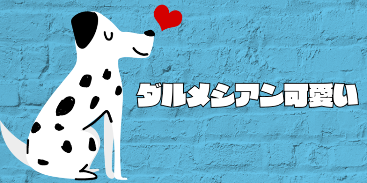 カワイイがいっぱい！ワンダーランド